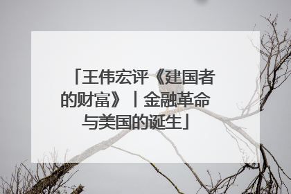 王伟宏评《建国者的财富》︱金融革命与美国的诞生